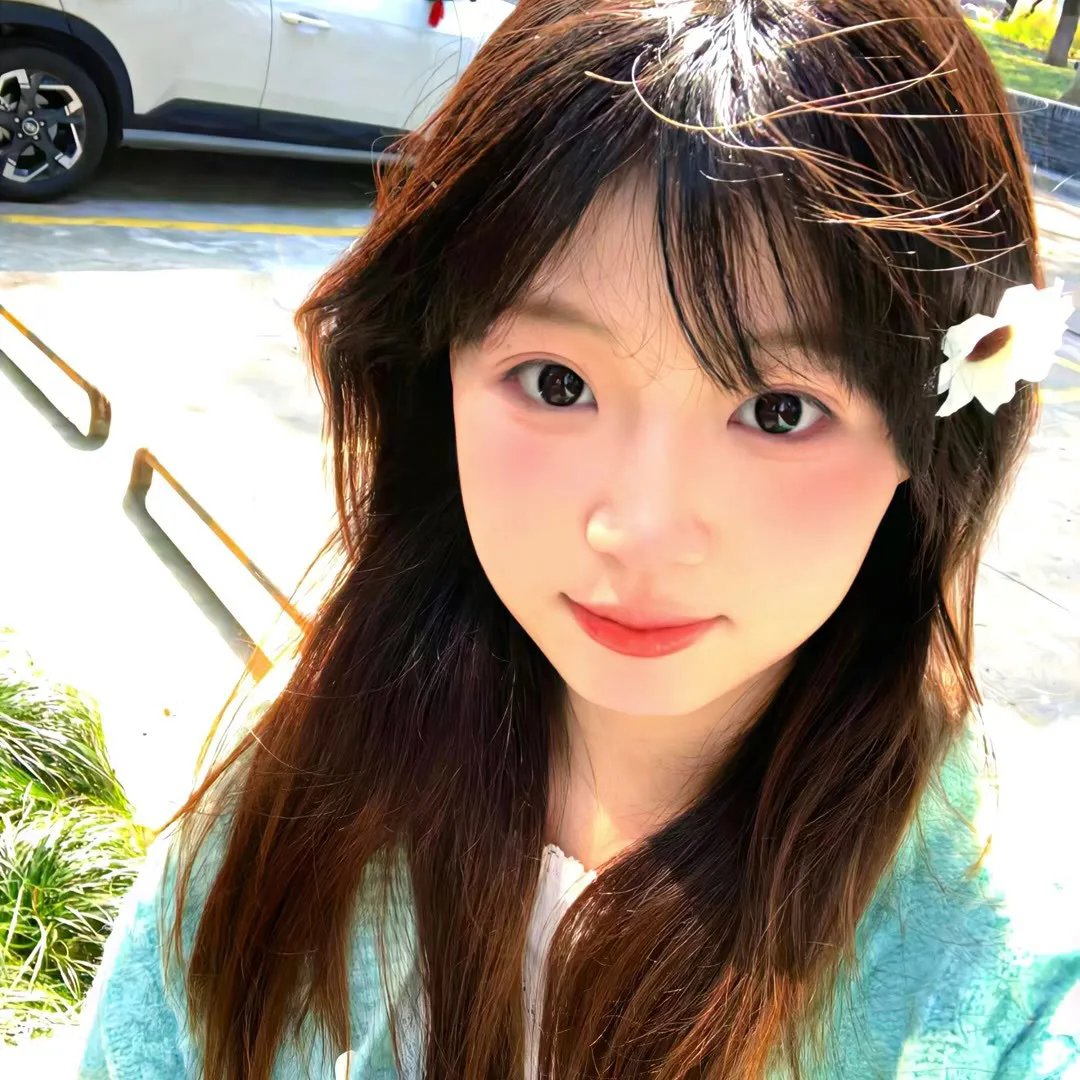 鉴你所见:花露森林