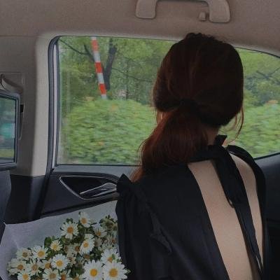 圣路易斯的骄傲
